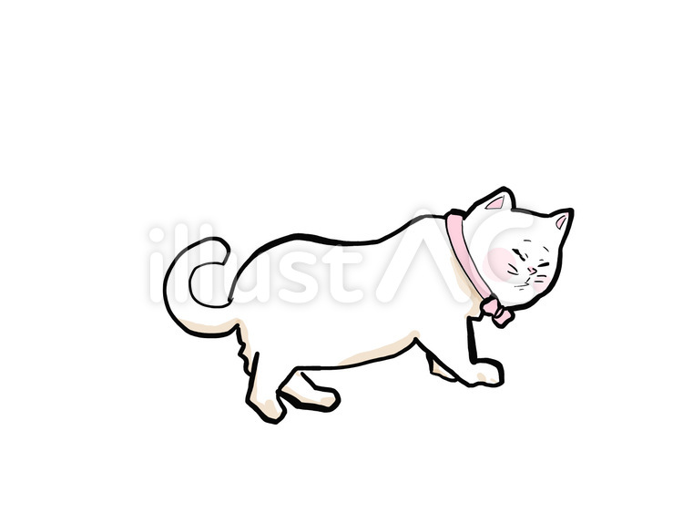 振り向きざまの不安顔 猫,子猫,動物のイラスト素材
