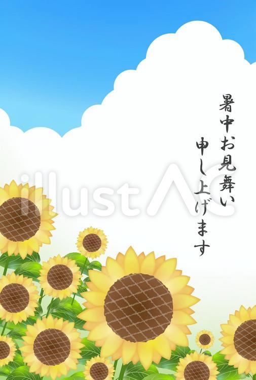 暑中お見舞い、向日葵と白い雲3 暑中見舞い,はがき,テンプレートのイラスト素材