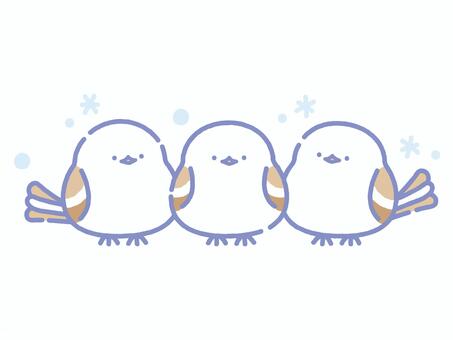 冬の結晶とパステルシマエナガ3羽 シマエナガ,鳥,野鳥,生き物,動物,雪,冬,結晶,氷,自然のイラスト素材