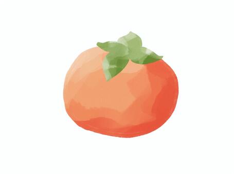 柿 柿,果物,フルーツ,食べ物,秋,おいしい,うまい,フレッシュ,かわいい,おしゃれのイラスト素材