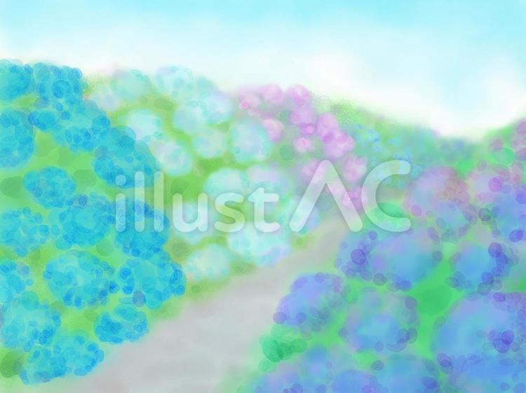 アジサイの道　水彩　背景 あじさい,花,水彩のイラスト素材