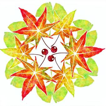 Autumn leaves, ginkgo and red fruits, autumn leaves, stomach, leaf, JPG and PNG