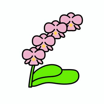 かわいいポップな花アイコン 胡蝶蘭,ピンク,花,植物,かわいい,シンプル,線画,イラスト,アイコン,お祝いのイラスト素材