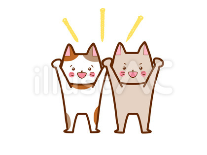一緒に頑張ろう猫さん