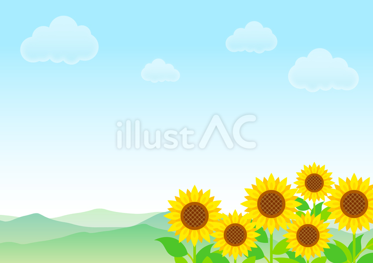 夏の青空とひまわり畑と山脈 ヒマワリ,夏,花のイラスト素材