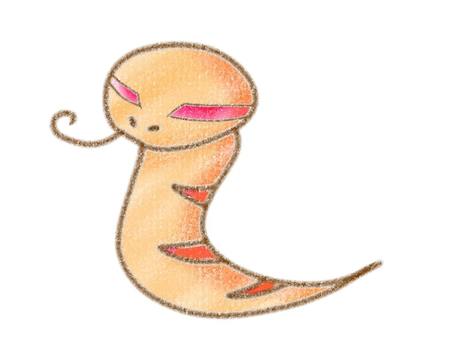 Illustration, snake, orange, animal, 