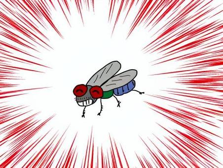 ハエ発見！ ハエ,害虫,昆虫,駆除,集中線のイラスト素材