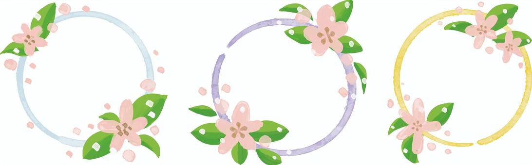 水彩画さくらフレームセット 水彩画さくらフレームセット 水彩画,桜,丸のイラスト素材