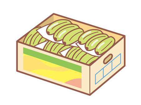 箱いっぱいの青いバナナ バナナ,青い,緑,たくさん,箱,ダンボール,新しい,果物のイラスト素材