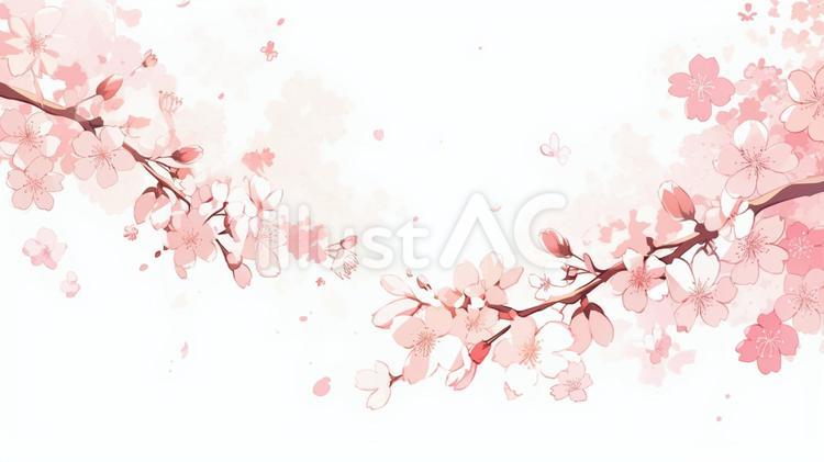 桜の枝先A3 桜,春,枝先のイラスト素材