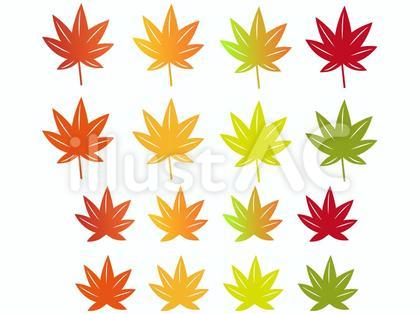 紅葉セット