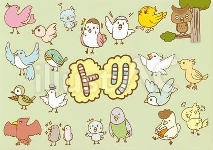 BIRD SET