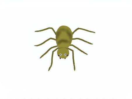 クモ 蜘蛛,虫,害虫,益虫,駆除のイラスト素材