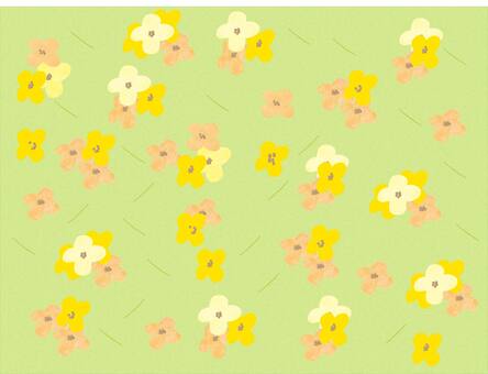 Illustration, JPG, PNG and AI Illustration, rape blossoms, plant, flower, JPG, PNG and AI