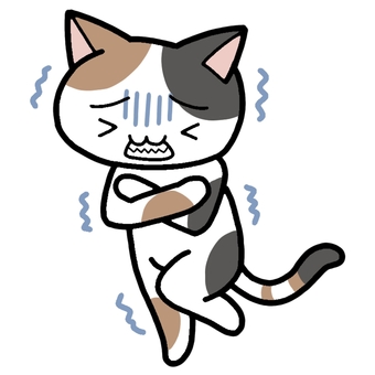 三毛猫と寒さ 三毛猫,猫,三毛,動物,寒いのイラスト素材