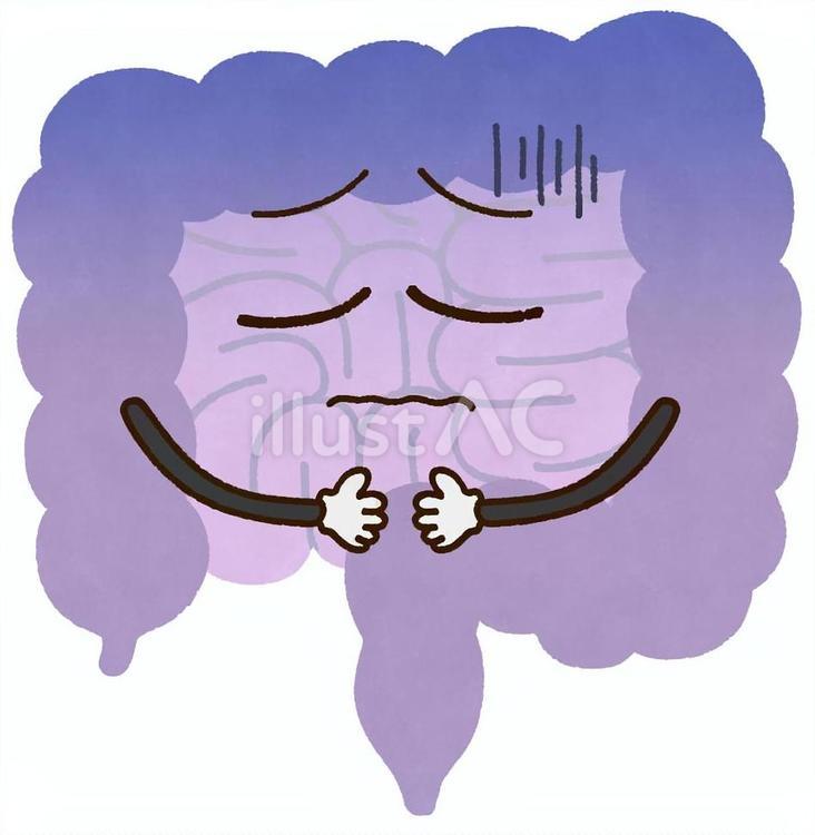 げっそりした腸 大腸,小腸,お腹のイラスト素材