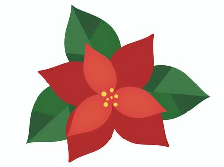 ポインセチアの花のイラスト