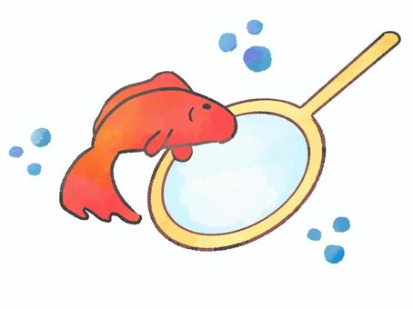 水彩風手描き金魚すくい（ポイ） 金魚すくい,金魚,ポイ,お祭り,屋台,出店,縁日,夜店,水彩風,手描きのイラスト素材