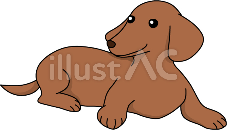 ダックスフント 犬,ペット,小型犬のイラスト素材
