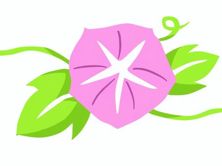 牽牛花例證, 夏天, ６月, 喇叭花, JPG 和 PNG