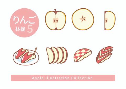 りんごのイラストセット5 りんごのイラストセット5 りんご,半分,輪切り,4つ切り,うさぎ,スライス,一松,飾り切り,種,カットのイラスト素材