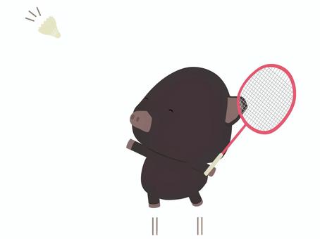 badminton _ pig, JPG and PNG badminton _ pig, , JPG and PNG