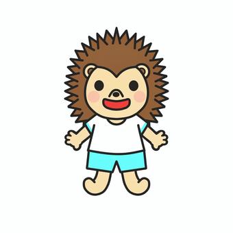 A hedgehog wearing light blue gym clothes, JPG and PNG A hedgehog wearing light blue gym clothes, hedgehog, tiny, animal, JPG and PNG