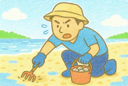 A man engrossed in shellfish digging in summer, claming, shellfish, male, JPG