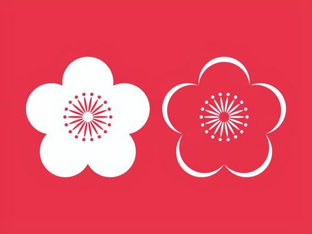 Illustration,  Illustration, plum pattern, flower pattern, plum,