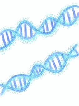 DNA dna,遺伝子,アデニン,チミン,グアニン,シトシン,デジタル画,手描きのイラスト素材