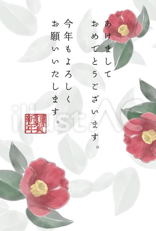 当たり障りのない寒椿の年賀状風 年賀状,つばき,椿のイラスト素材