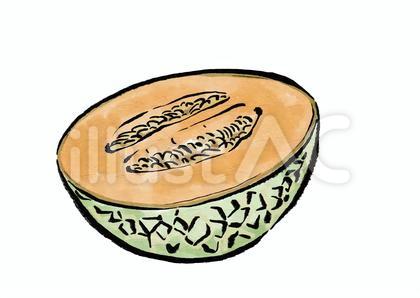 半分に切られた赤肉メロン(水墨)