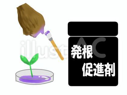 ジェル状タイプの発根促進剤