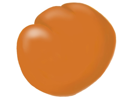 クリームパン パン,菓子パン,炭水化物,甘い,ツヤのイラスト素材