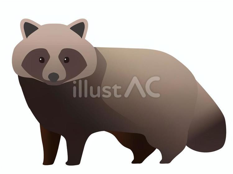 たぬきのイラスト タヌキ,動物,野生のイラスト素材