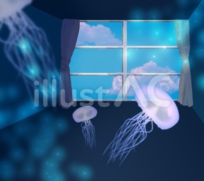 Jellyfish