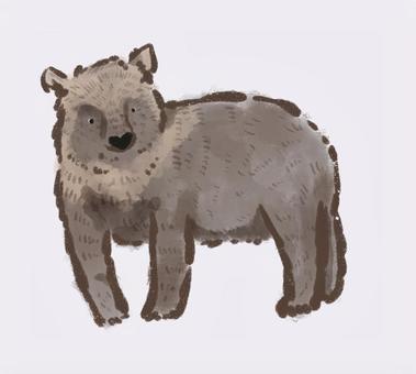 ヒグマ クマ,ヒグマ,北海道,野生動物,動物,自然,生き物のイラスト素材
