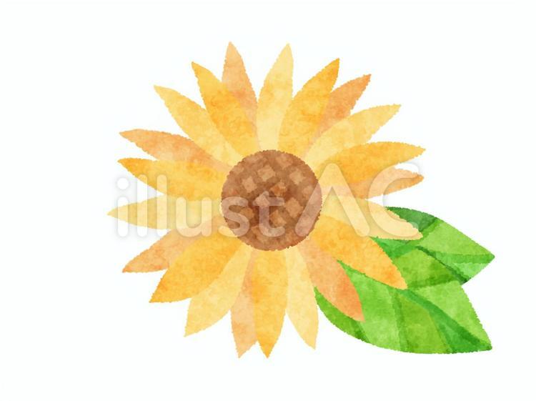 かわいい手描きのヒマワリのイラスト素材 ひまわり,花,かわいいのイラスト素材