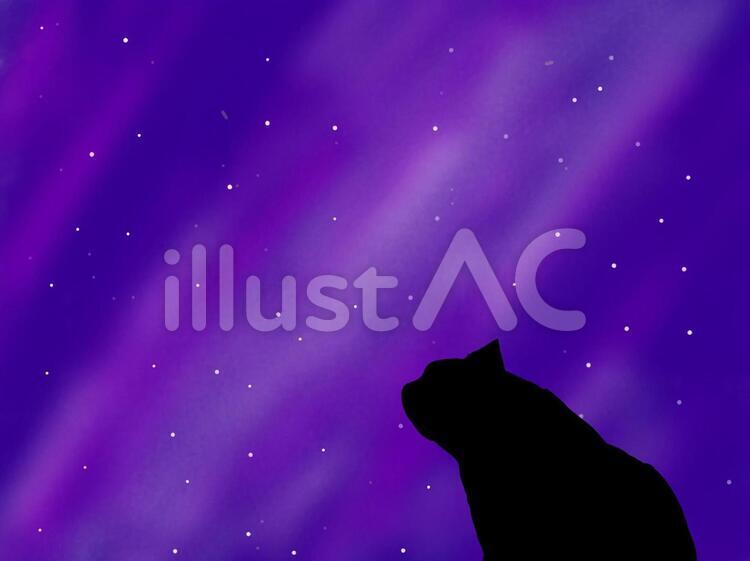 星空と黒猫 星,夜空,猫のイラスト素材