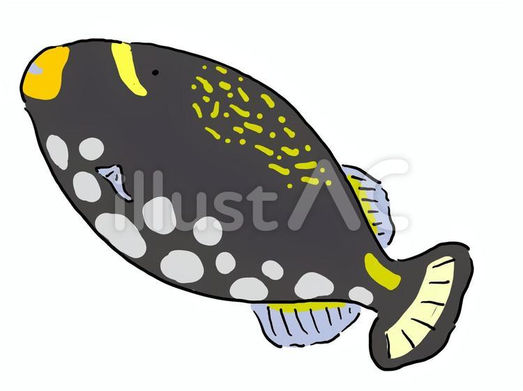 Triggerfish, JPG, PNG and AI Triggerfish, mongara kawahagi, fish, puffers, JPG, PNG and AI