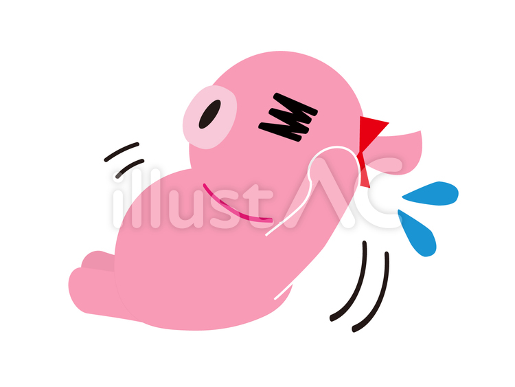 ブタさん 動物,ブタ,腹筋のイラスト素材