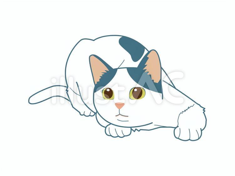 お尻ふりふり猫（ぶち　斑点　牛柄） 動物,猫,ペットのイラスト素材