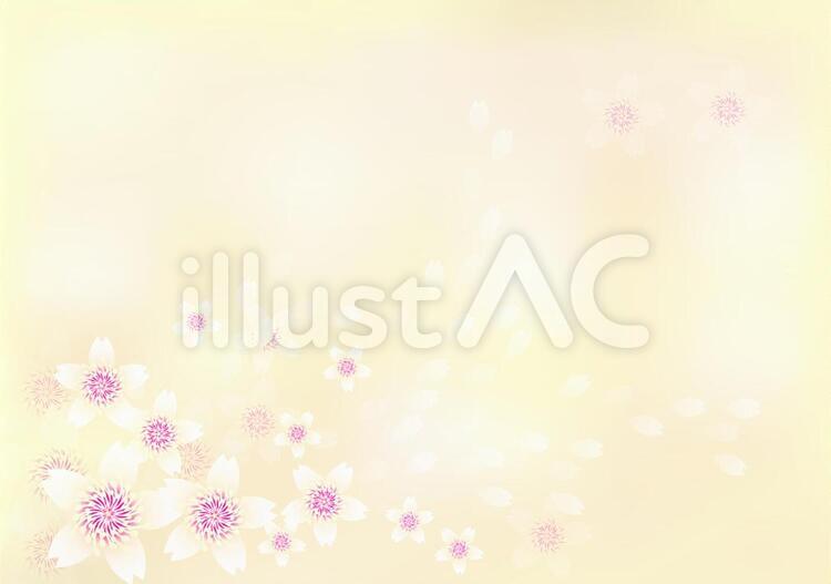 桜花爛漫145 花,桜,春のイラスト素材