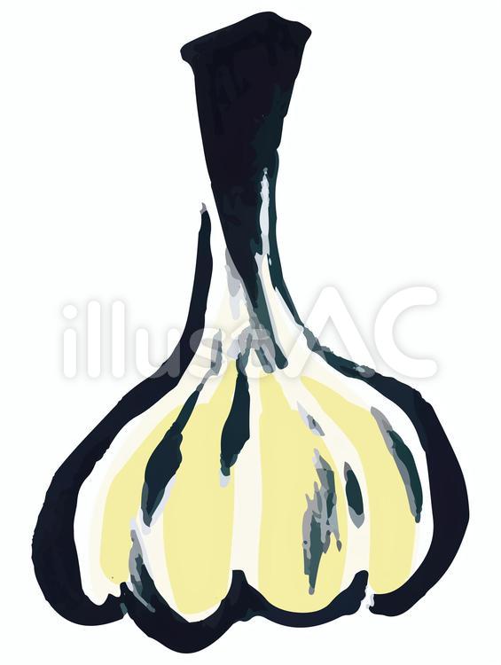 手描き　筆で描いた野菜　ニンニク ニンニク,食べ物,根菜のイラスト素材