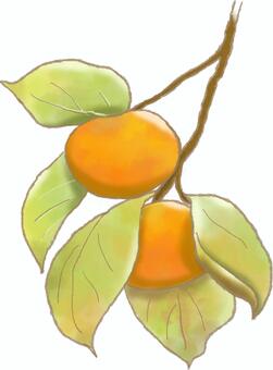 木に実る柿 柿,秋,柿の木,収穫,果物のイラスト素材