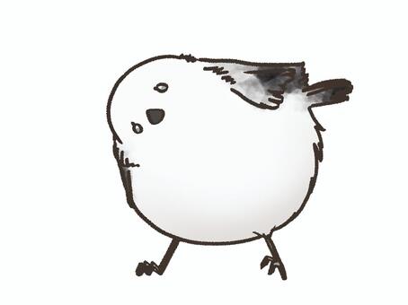 シマエナガ3 シマエナガ,かわいい,鳥,小さい,生き物,手描き,ふわふわ,シンプル,フリー,羽根のイラスト素材