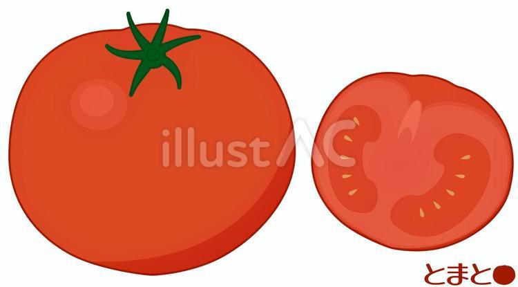 とまと（トマト）イラスト　線あり トマト,カットトマト,カット野菜のイラスト素材