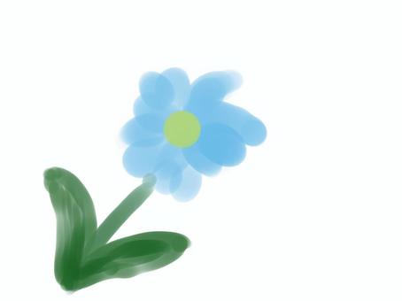 blue flower, , JPG