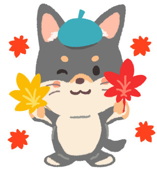 両手に綺麗な紅葉を持つベレー帽の黒柴犬 柴犬,紅葉,紅葉狩り,持つ,枯れ葉,落ち葉,葉,秋,もみじ,自然のイラスト素材