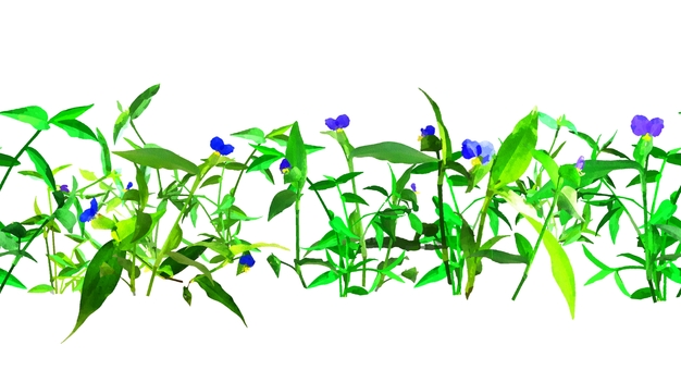 エンボス加工の横シームレスなツユクサ  ツユクサ,露草,夏,花,藍色,雑草,水彩,植物,自然,模様のイラスト素材